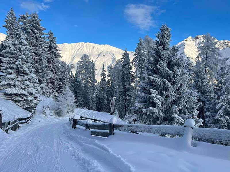 Naturrodelbahn in Neustift im Stubaital